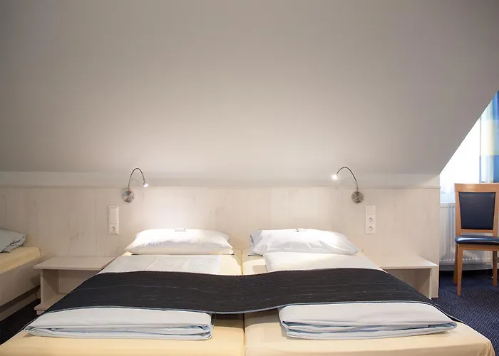 비쿠스 게스트하우스