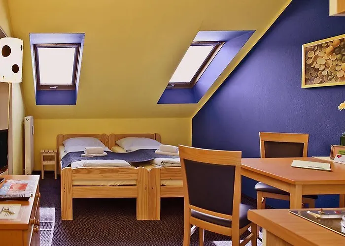 게스트하우스 비쿠스